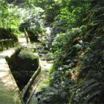 【大楠山】 【大楠山】