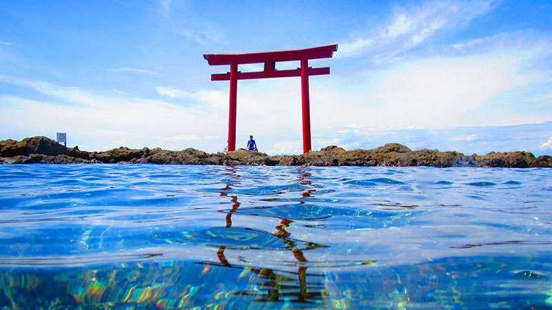 葉山菜島ツアー
