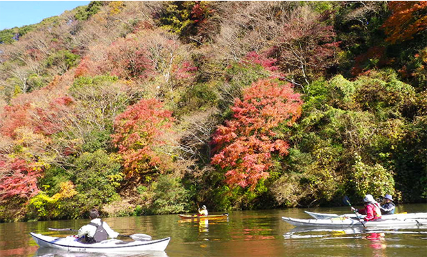 紅葉のシーカヤック遠征